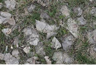 Photo of Various Textures